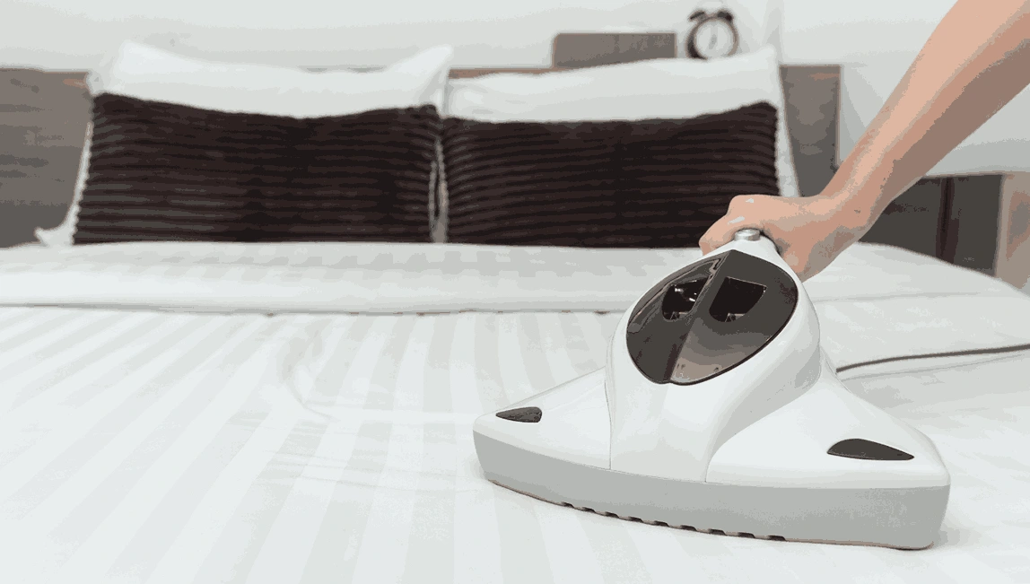 Professional Mattress Cleaning Lalor